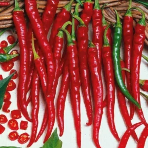 100 Pepper Seeds for Planting Outdoors, High Germination Rate, Non GMO, Heirloom Seeds - Long Thin Red Seeds