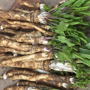 2Lbs Bareroot Horseradish Roots For Planting, Live Horseradish Crown, Sold By Weight