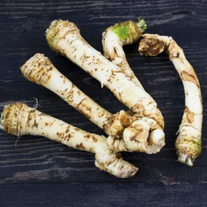 2Lbs Bareroot Horseradish Roots – Live Horseradish Crowns for Planting, Sold by Weight