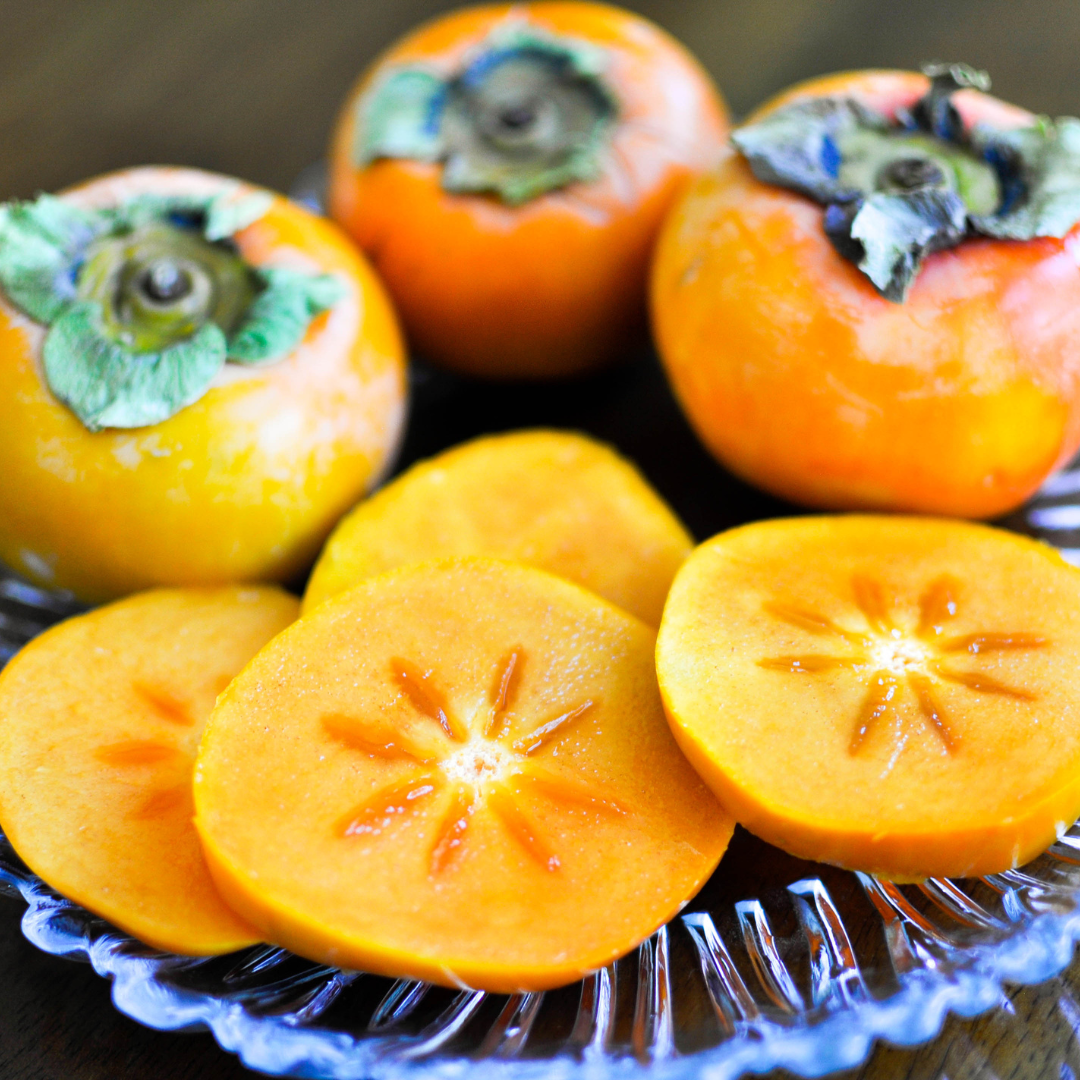 American Persimmon Tree in Pot, Hardy Fruit Tree for Zones 4-9, Persimmon Tree Live Plant, 6 to 12 Inch Tall - Image 9