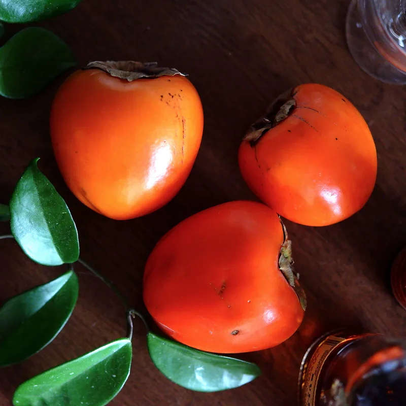American Persimmon Tree in Pot, Hardy Fruit Tree for Zones 4-9, Persimmon Tree Live Plant, 6 to 12 Inch Tall