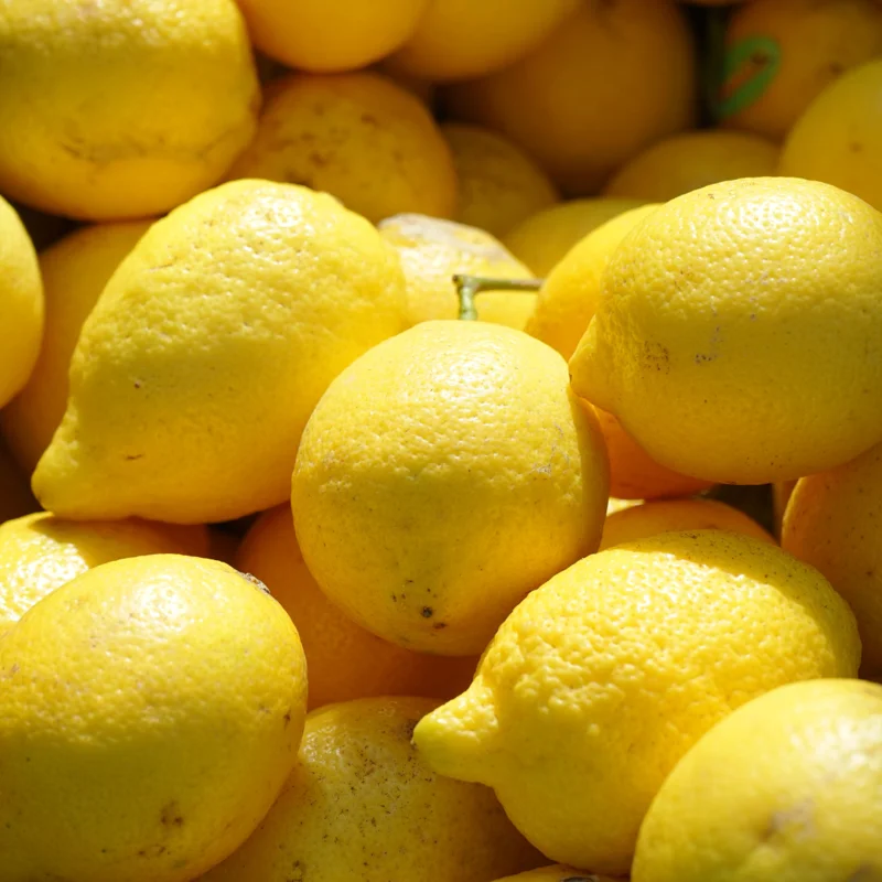 Live Eureka Lemon Plant for Planting, 4 Inch Tall, Potted Seedling Eureka Lemon Plant Live, Sweet Fruit Plant