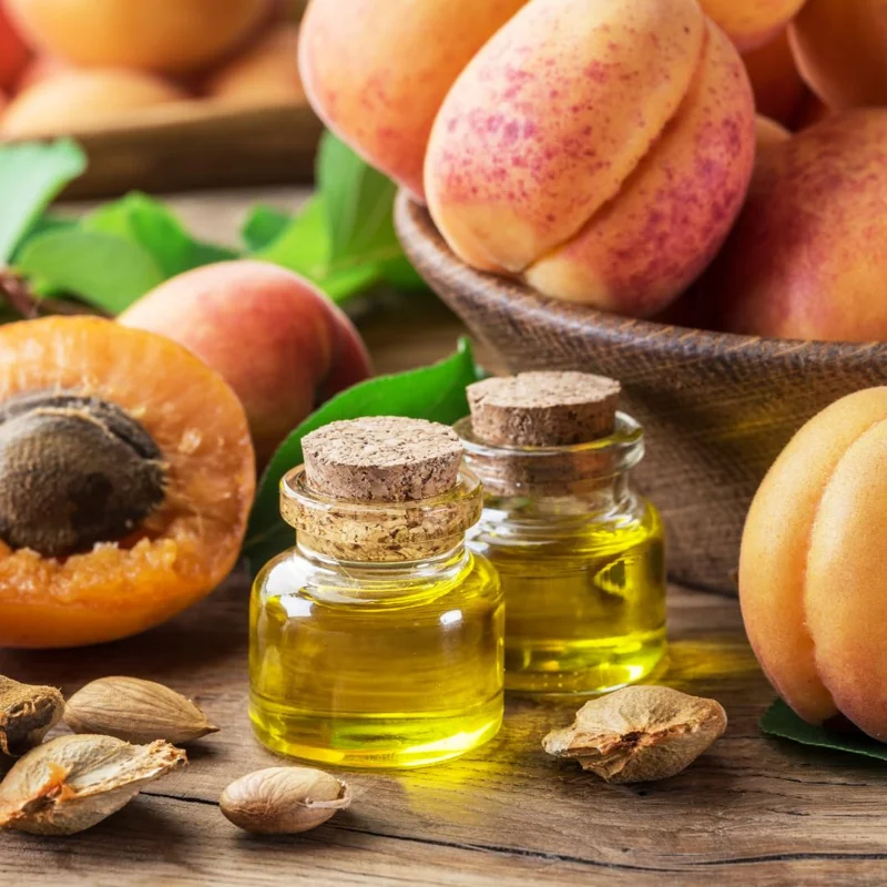 Apricot Trees Live Plants, 3-4 Ft Tall Apricot Fruit Trees for Outdoor Planting, Cold Hardy and Dormant, No Leaf, Fully Rooted