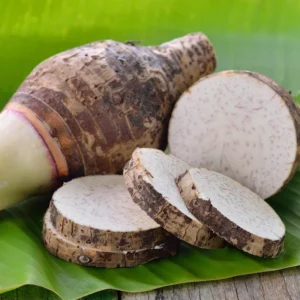 3 Fresh Edible Elephant Ear Taro Bulbs Tuber for Planting, Edible Seeds Bulbs Taro Esculenta Corms, 4 to 6 oz Each Bulbs