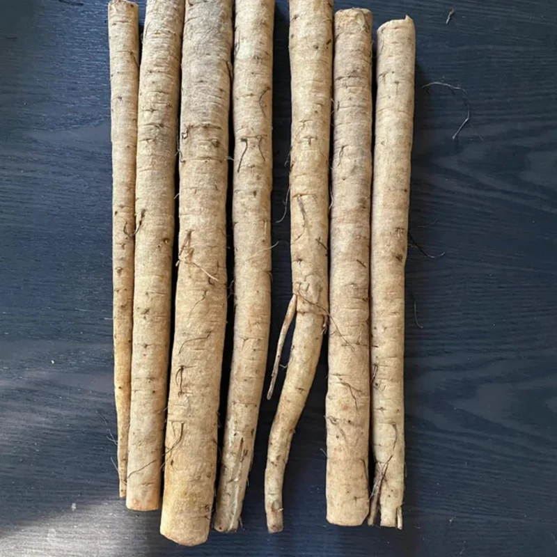 1 Lbs Fresh Burdock Roots For Planting, Live Burdock Tubers Bulbs for Growing Outdoor, Zones 2-10 Cold Hardy