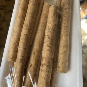 1 Lbs Fresh Burdock Roots For Planting, Live Burdock Tubers Bulbs for Growing Outdoor, Zones 2-10 Cold Hardy