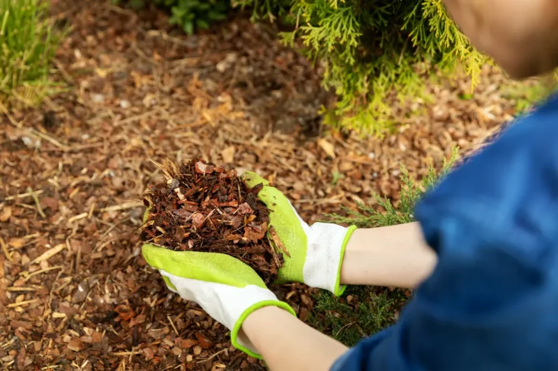mulch, Spring Gardening Checklist