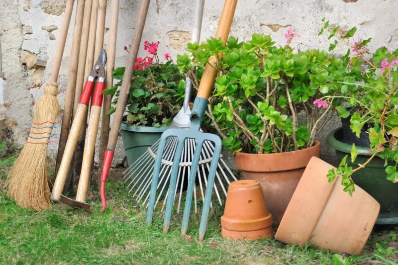 A set of gardening tools, including pruners and spades, being cleaned and sharpened
