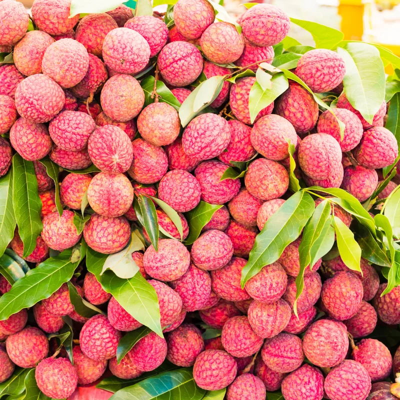 Sweet Lychee Seeds for Planting - Grow Your Own Tropical Litchi Fruit
