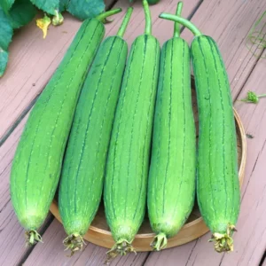 Luffa Gourd Seeds - 20 Pcs Vegetable Seeds for Planting