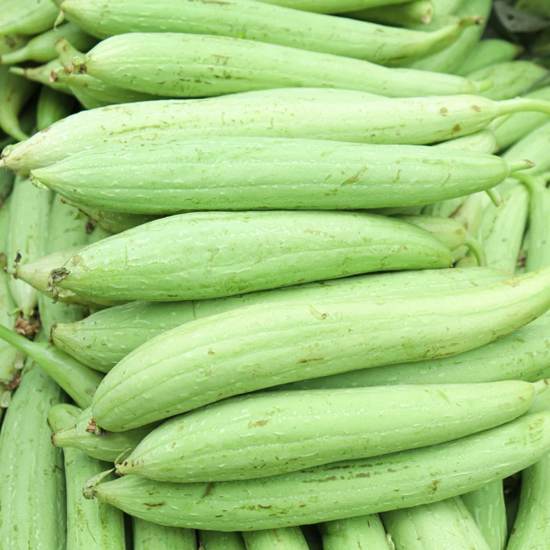 Luffa Gourd Seeds - 20 Pcs Vegetable Seeds for Planting