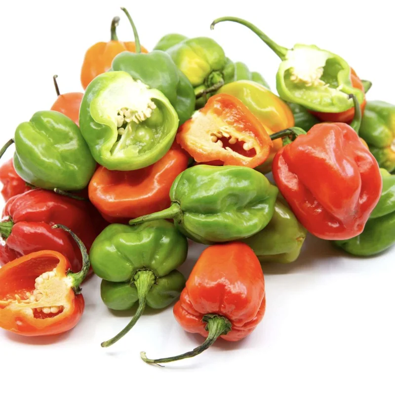 Mix Habanero Pepper Seeds - 50 Seeds - 4 Hot Varieties - For Planting