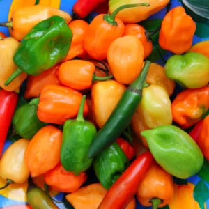 Mix Habanero Pepper Seeds - 50 Seeds - 4 Hot Varieties - For Planting