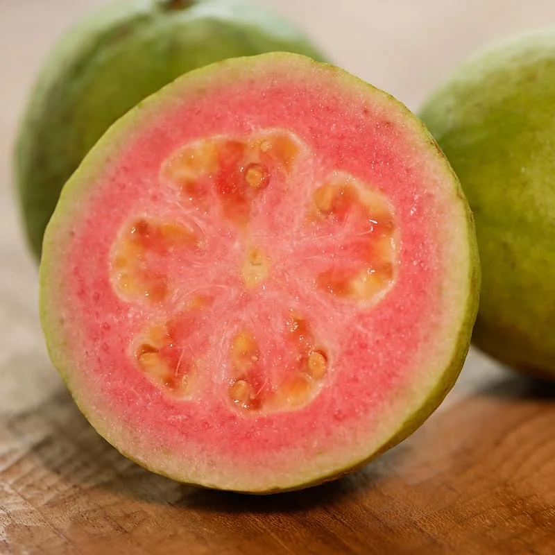 Pink Guava Tree Plant Live - Seedling Fruit Tree 4-9 Inch