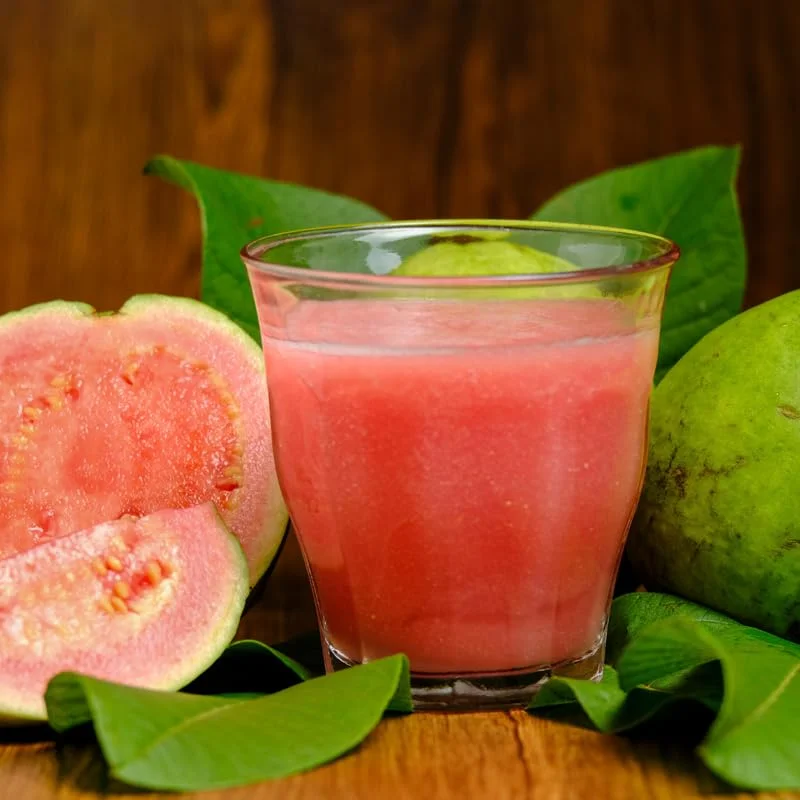 Pink Guava Trees - Set of 3 Live Sweet Pink Guava Fruit Seedlings