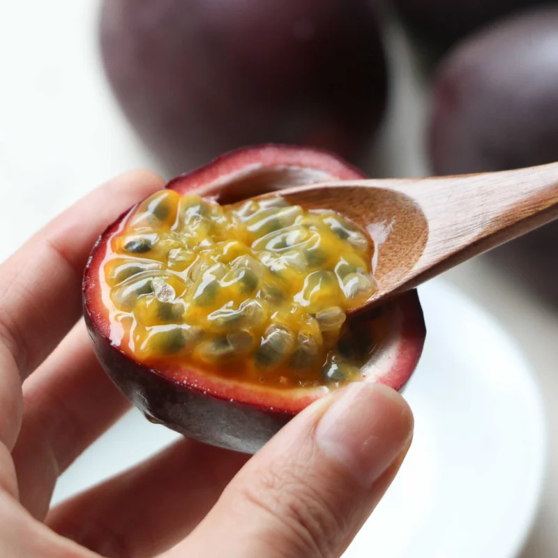 Purple Passion Fruit Plants Live - Passion Fruit Vine 4-6 Inch Starter Plant