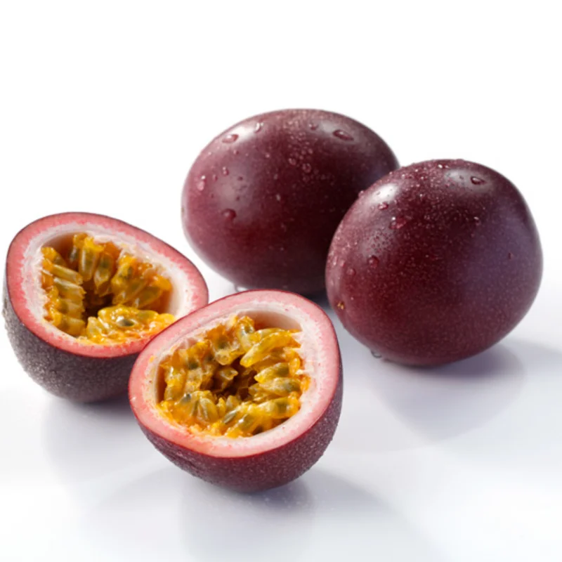 Purple Passion Plant Live Vine - Set of 2 - Grow Passion Fruit - 4-6 Inch Starter Plants