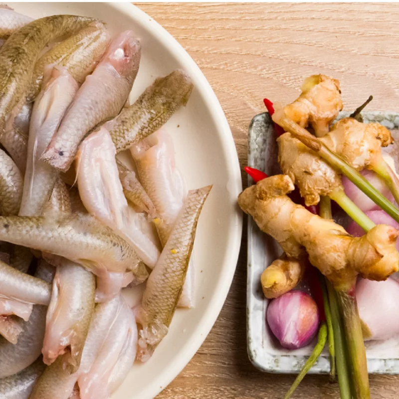 Galanga Thai Ginger Live Plants - Hardy Starter Plants 5-6 Inch Tall