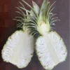Pineapple Plant Live Starter Plant - Outdoor Growing - No Pot - Sweet Flavor