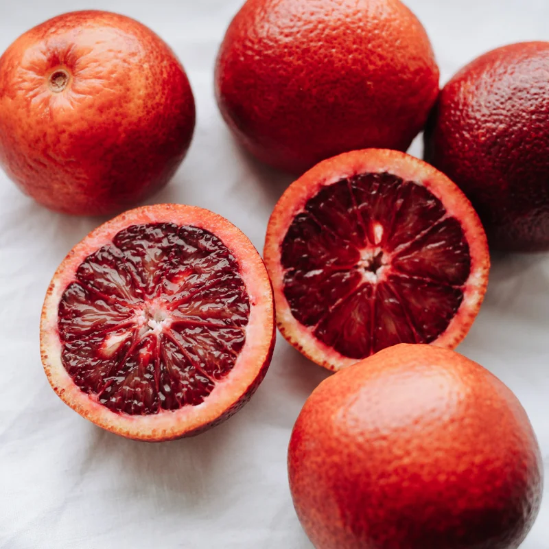 Blood Orange Tree - 1-2 Ft in Gallon Pot Fruit Tree