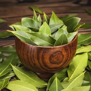 Black Cherry Trees - Live Sweet Cherry Plants - 1.5-2 Ft Bareroots