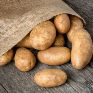 Russet Potato Seeds - 3 Lbs Fresh Garden Ready Potato Seeds