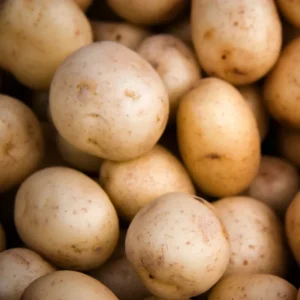 Yukon Gold Potato Seeds 3 Lbs - Fresh Garden Vegetable Seeds