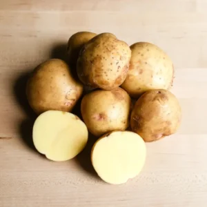 Yukon Gold Potato Seeds 3 Lbs - Fresh Garden Vegetable Seeds