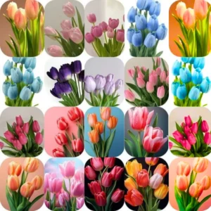 10 Top Size Tulip Bulbs By Hardiness Zones 3 to 11, Mixed Vibrant Tulips Bulb Bulk for Fall Planting, Assorted Colors