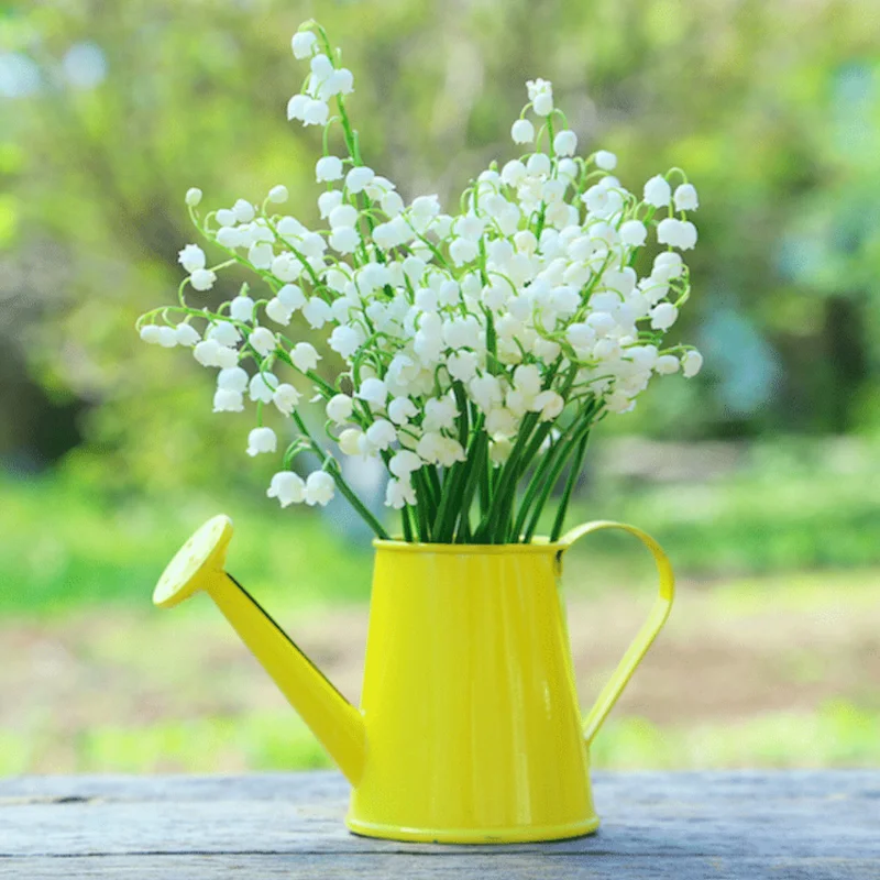 Fragrant Lily of the Valley Bulbs - 10 White Flower Bulbs for Spring Planting