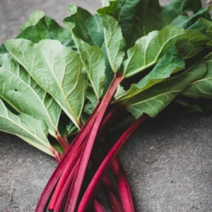 Rhubarb Plants Perennial Vegetable, Well Rooted 4-6 Inch, Crisp Red Stalks