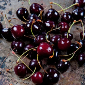 Black Cherry Tree - 2-3 Ft Hardy Fruit Tree - Ready to Plant